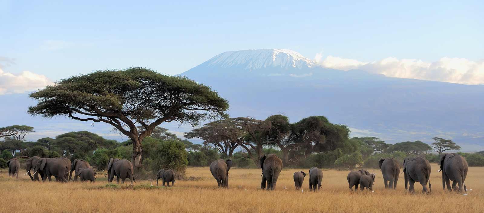 Kilimandzaro-Kenia